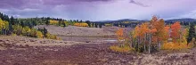 Hopewell Lake in the Carson National Forest framed by golden and orange aspens in autumn.