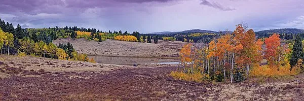 Hopewell Lake in the Carson National Forest framed by golden and orange aspens in autumn.